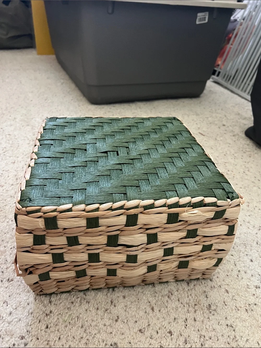 Woven Storage Basket with Lid - Natural and Green